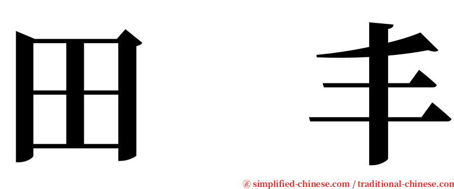 田　丰 serif font